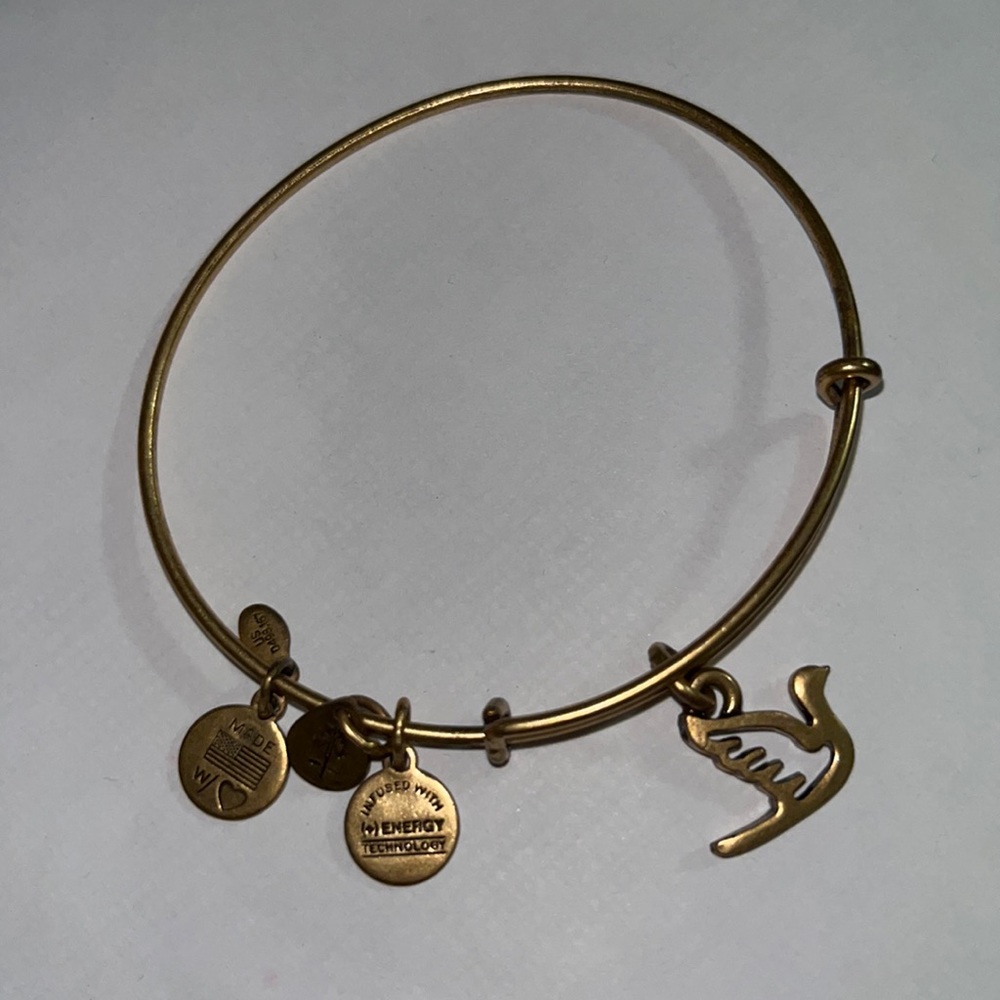 Alex and Ani adjustable Dove Swan Bracelet